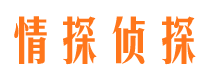 温县市侦探调查公司